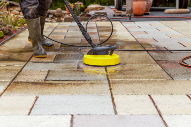 Best Animal Enclosure Cleaning  in Hinckley, MN